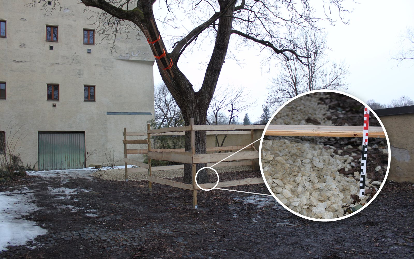 Baum auf einer Baustelle mit Holz-Schutzzaun, in der Lupe ein Detail des Wurzelschutzes aus Schotter mit Maßstab